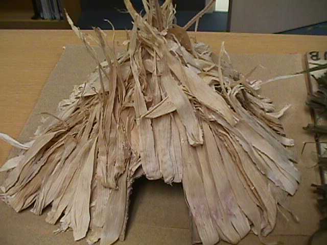 Student created Native American dwelling