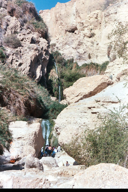 Ein Gedi, Israel