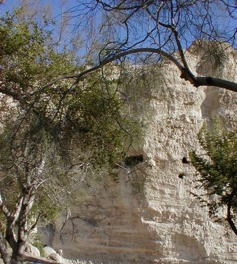 Ein Gedi Oasis