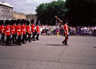 Buckingham Palace Irish Guard