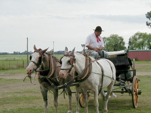 Estancia Wagon ride