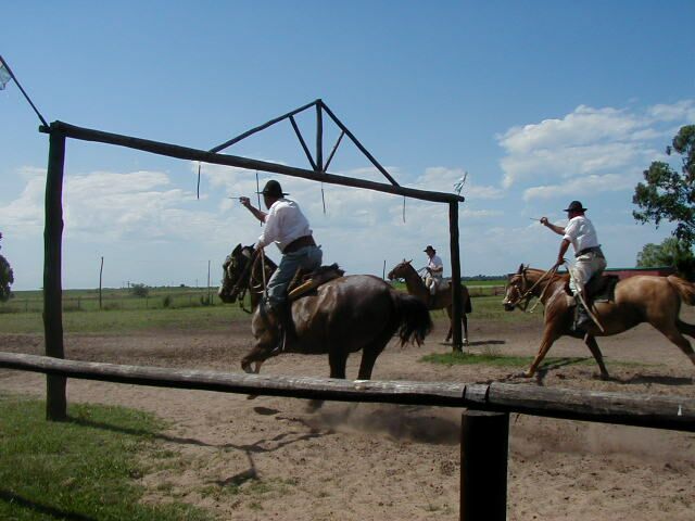 Gaucho prowess