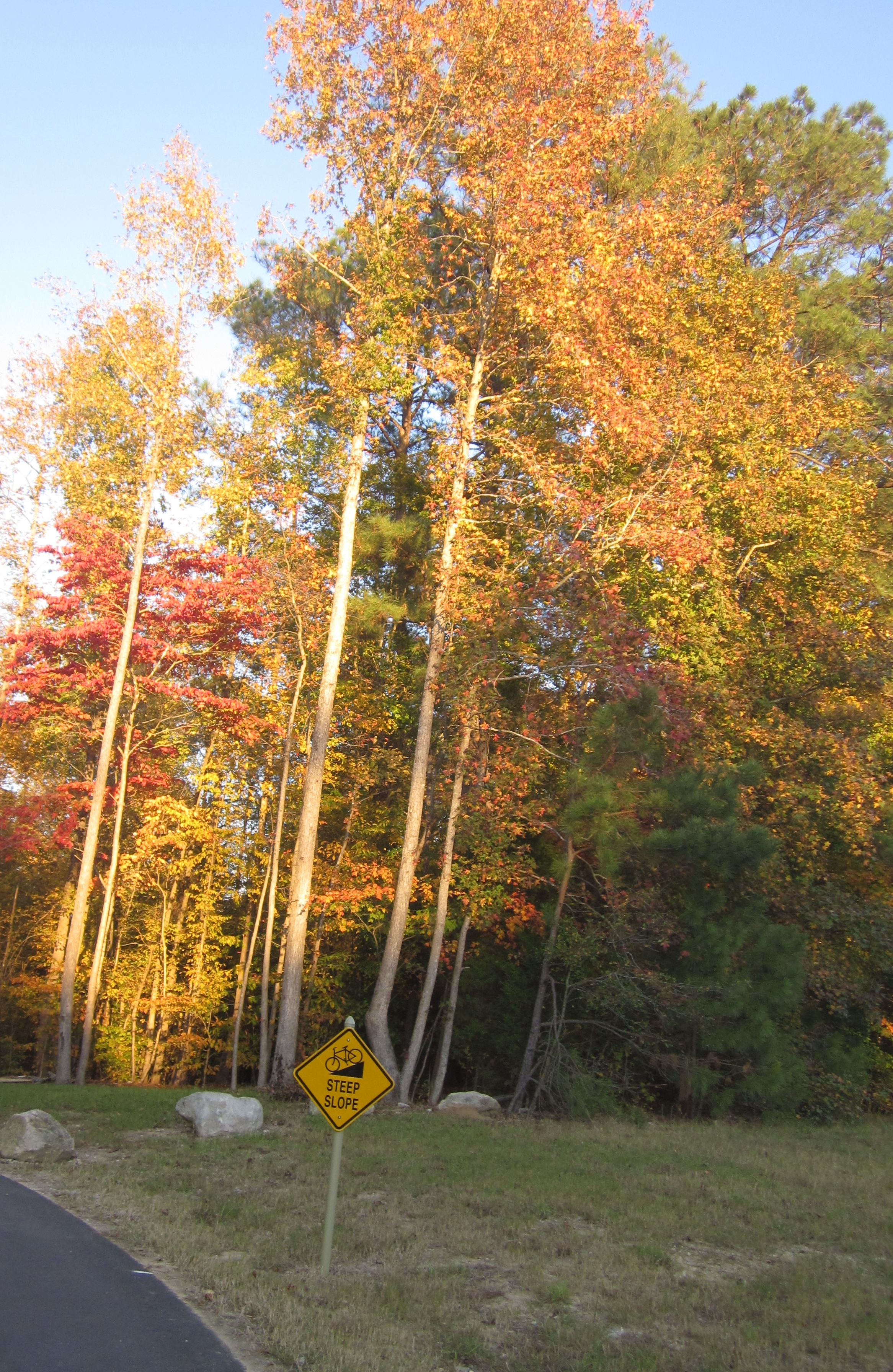 Autumn trees and sign on biking trail