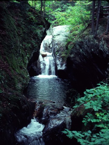 Waterfall in the Woods