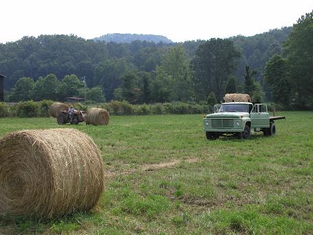 Hay Rolls