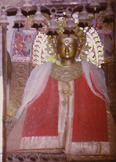 "crypto trading india"