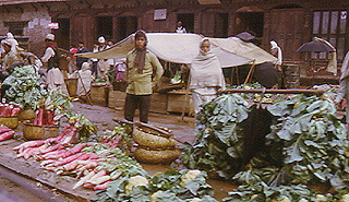 Patan market