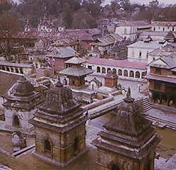 Homes in India (possibly home of Dalai Lama's son)