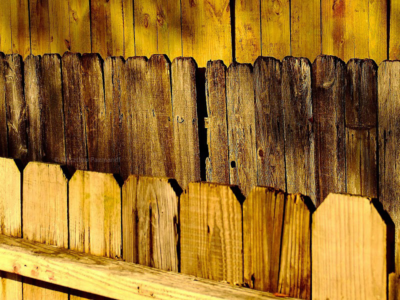 Wooden fence