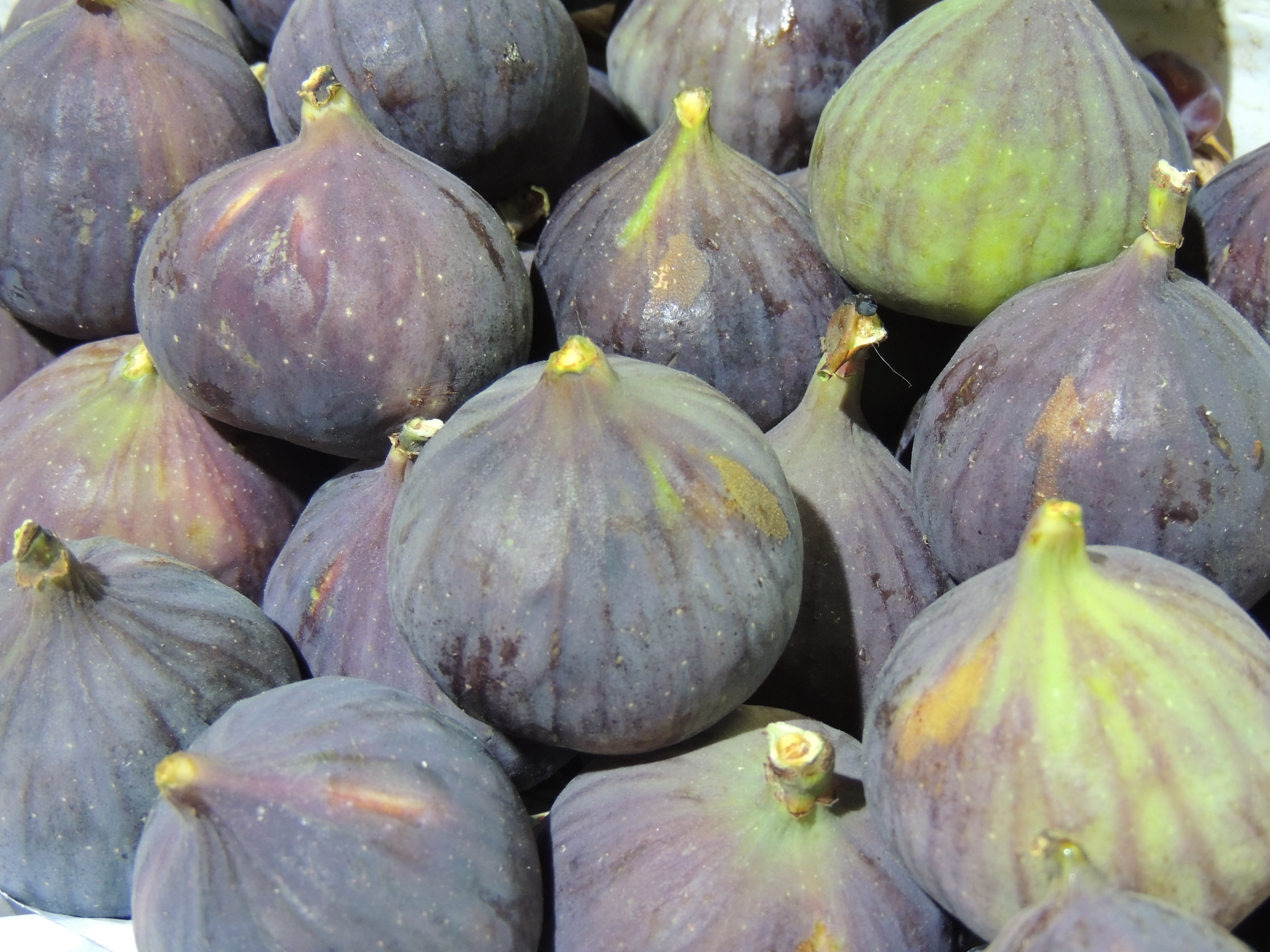 Figs at Heritage Souk, Kuwait City, Kuwait