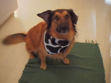 Personalised football kits premier league