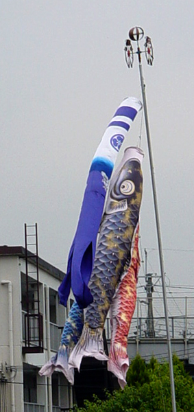 Fish flags flown on Children's Day, one for each child