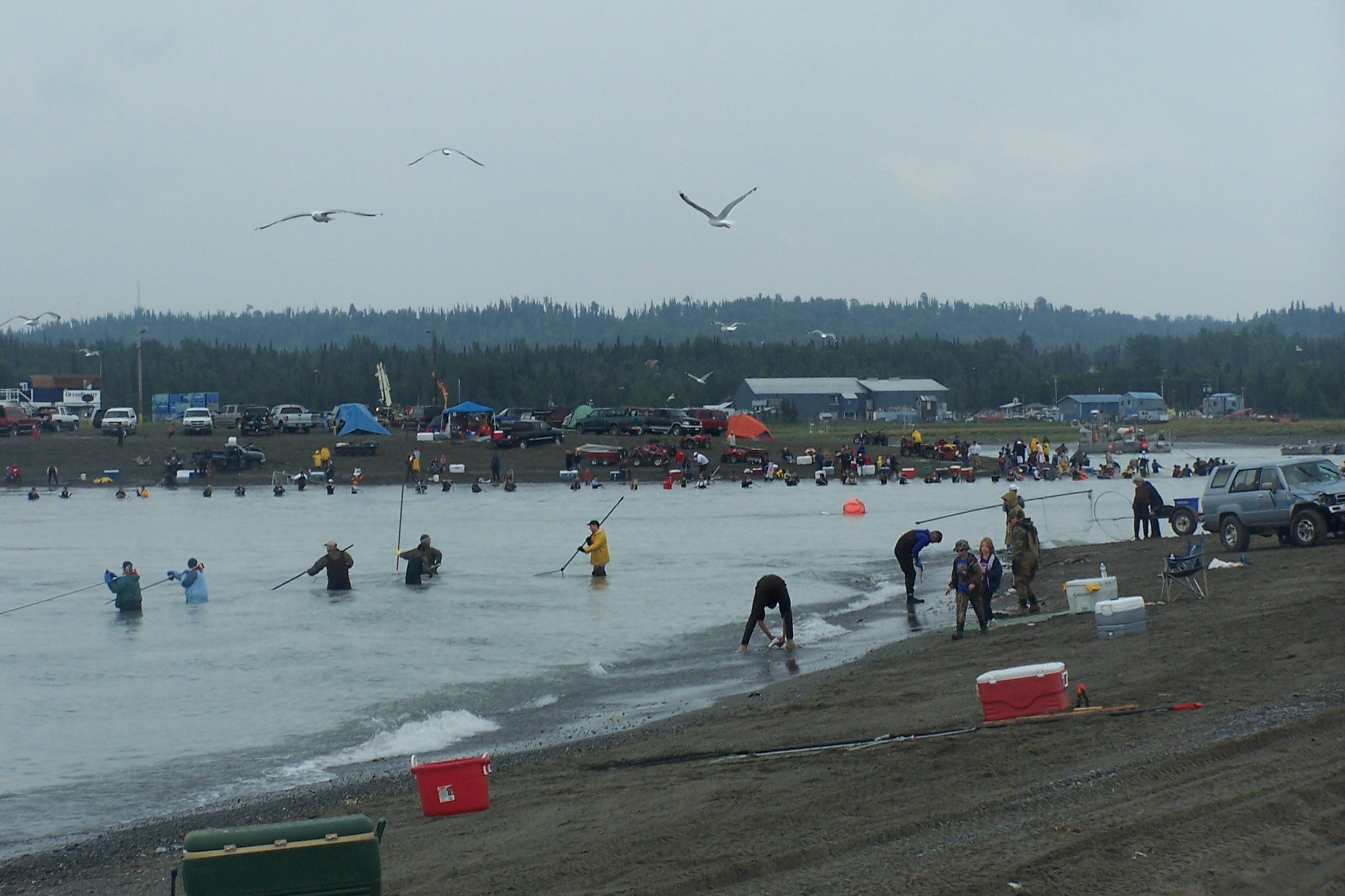 Dipnetting Beach