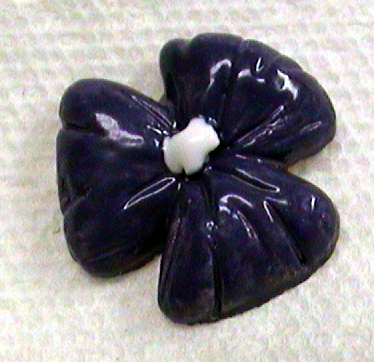 flower64.jpg