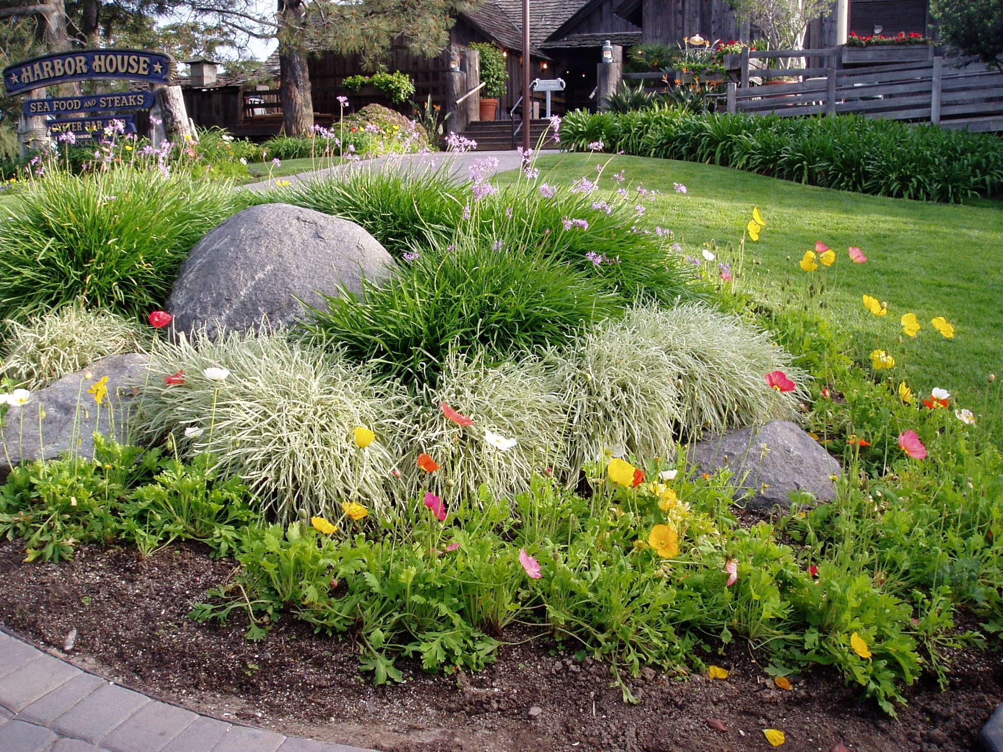 Flowers at the Harbor House