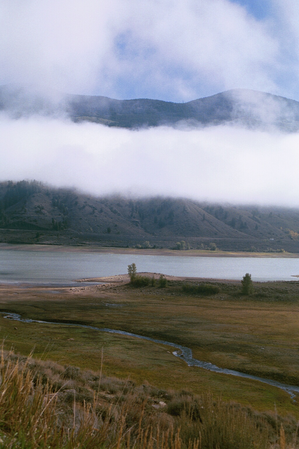 fog covering mountain