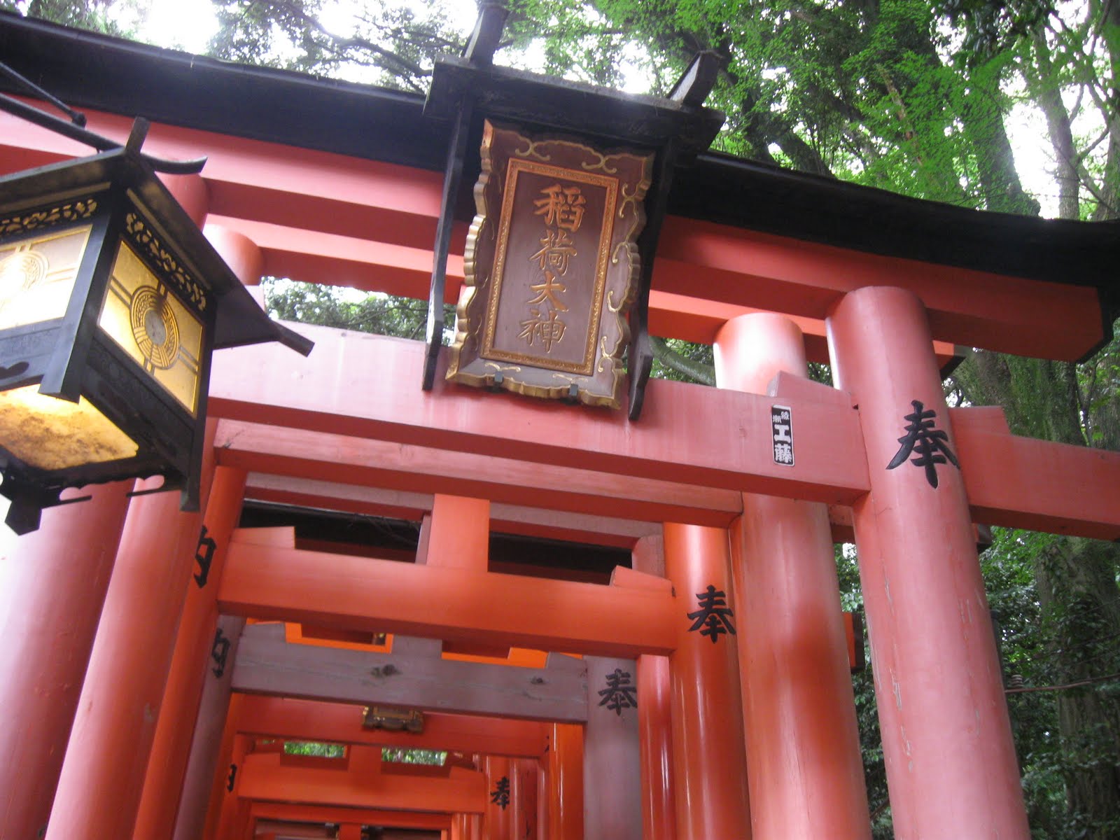 Fushimi Inar (fox rice shrine) kyoto