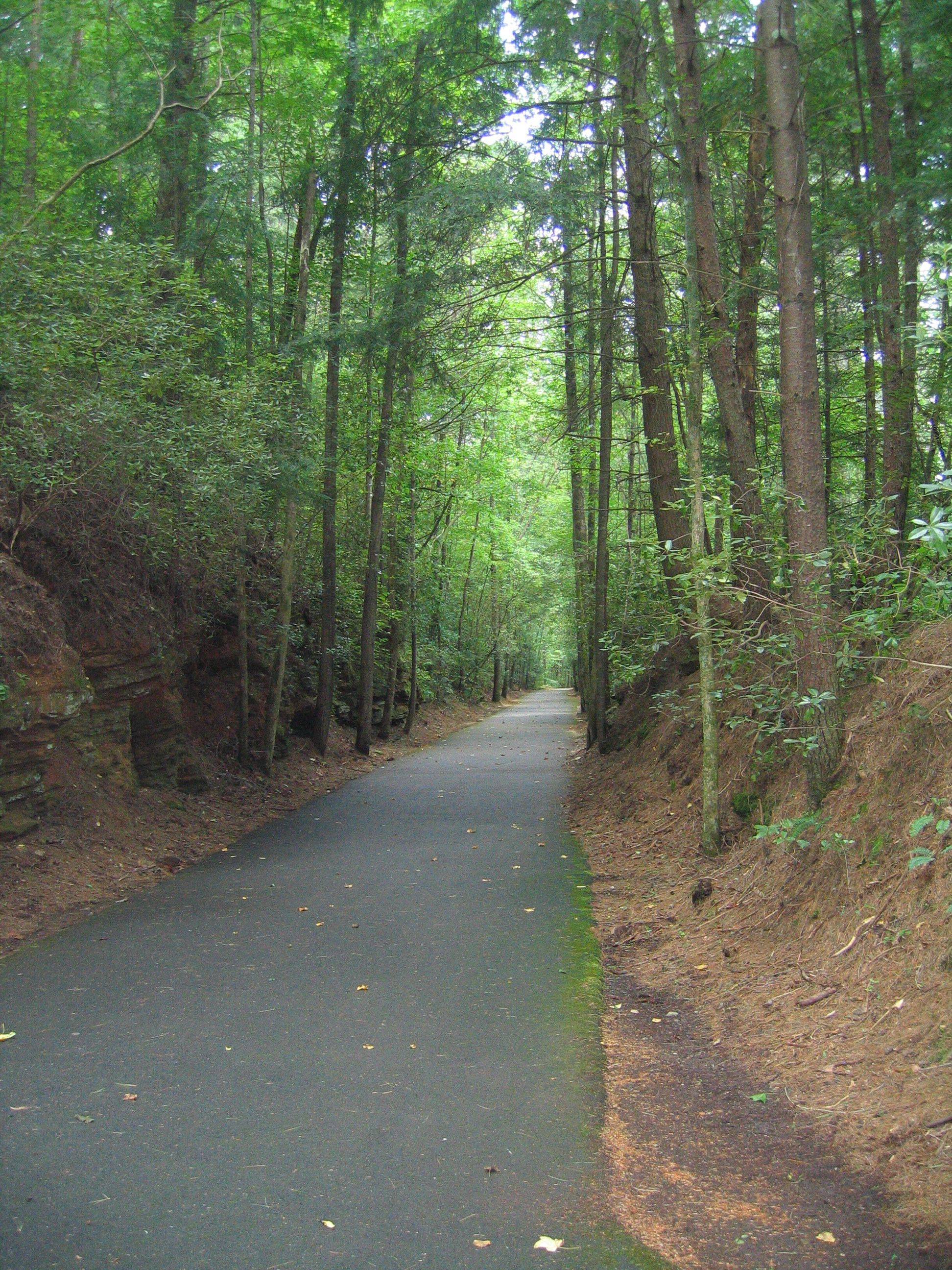 Bike Trail in Georgia