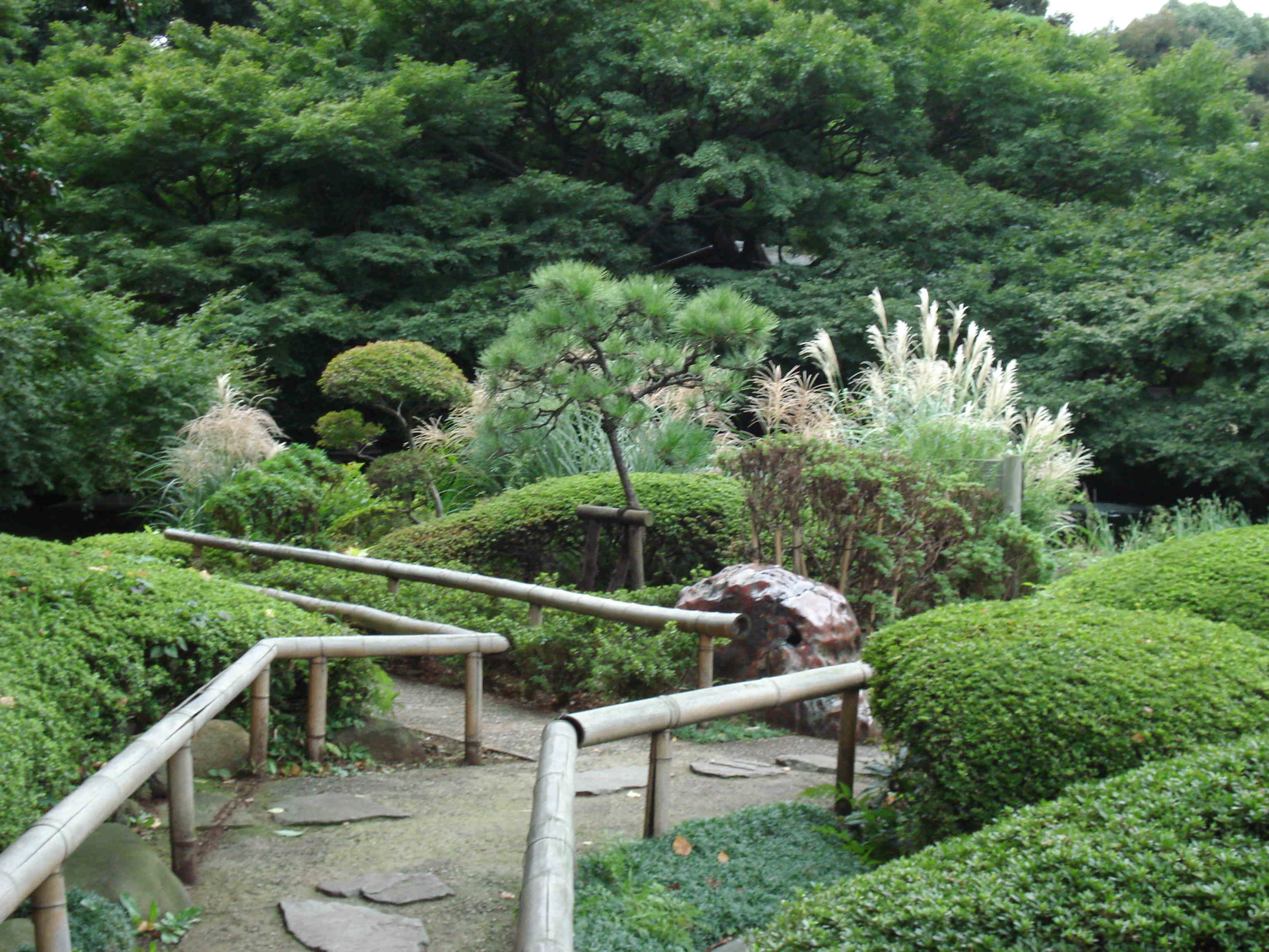 Beautiful Japanese gardens