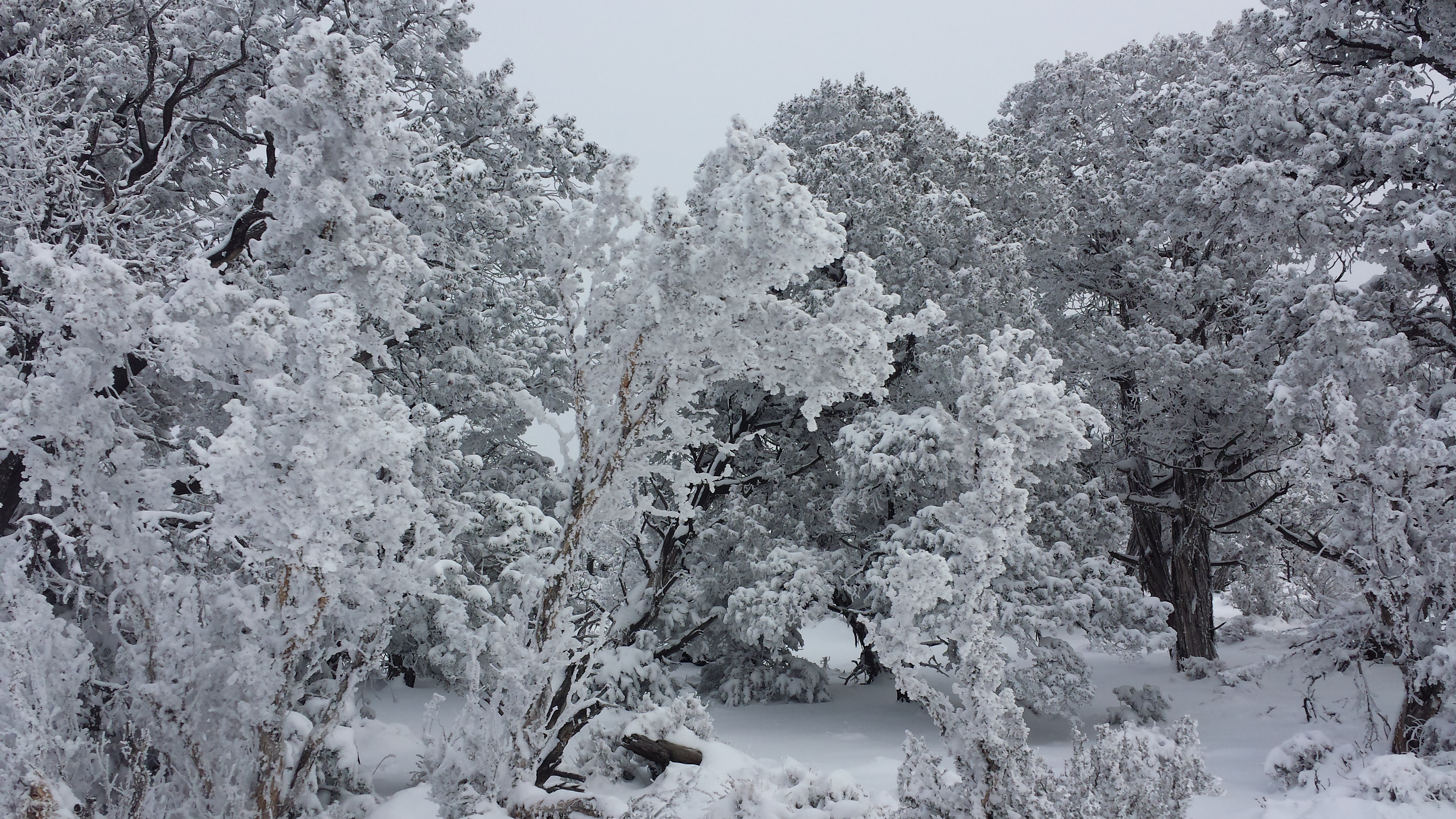 Neymar signed barcelona jersey
