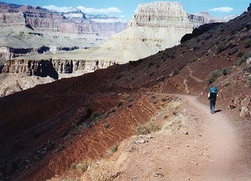 A hiker makes his way down to the bottom of the Grand Canyon along the Kiabab trail.