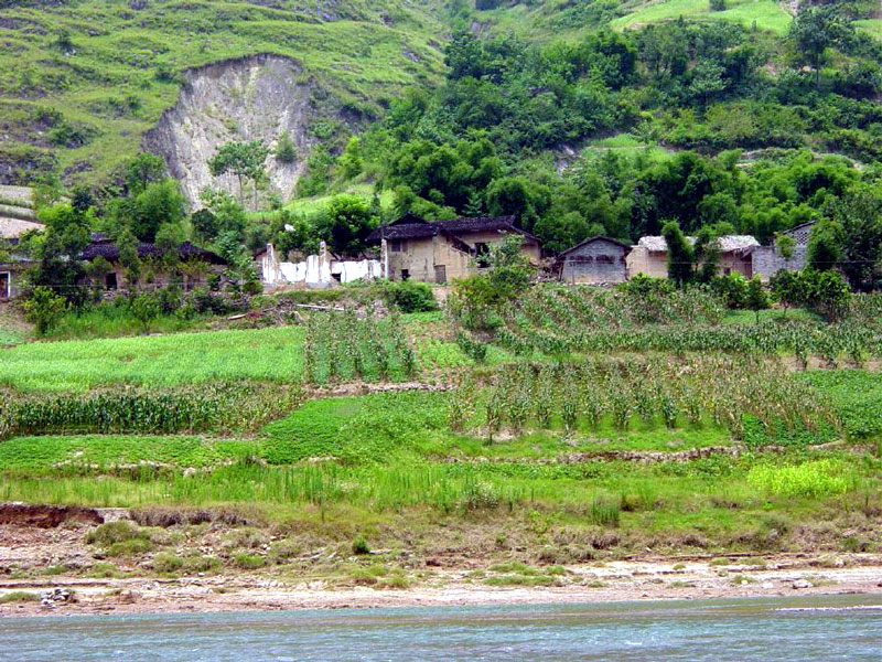 Farmlands along the bank