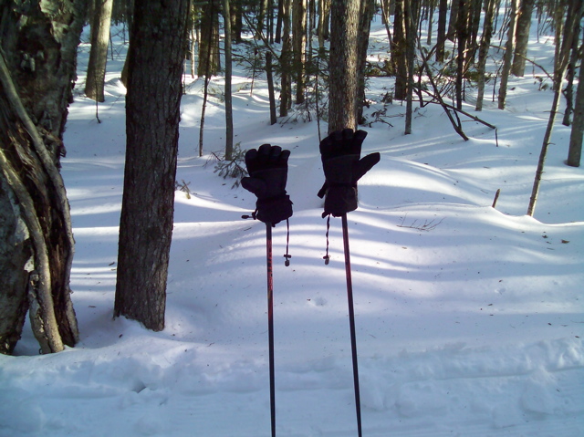 Gloves in winter