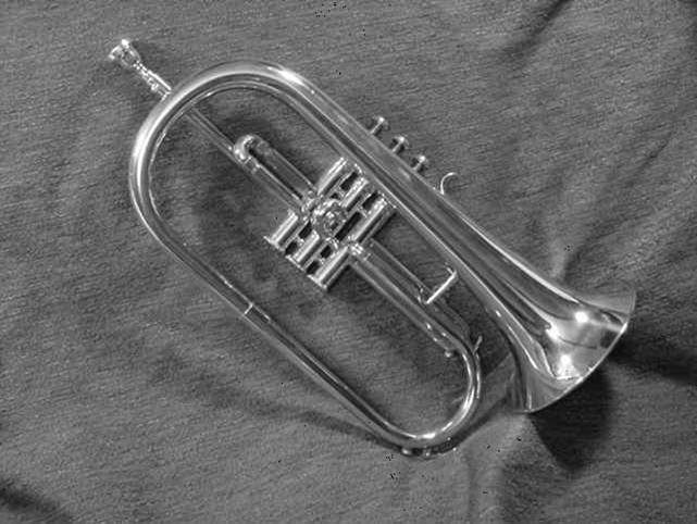 Grayscale_Flugelhorn