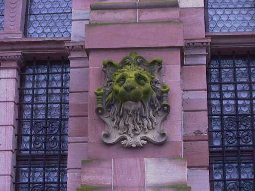 Green Lion