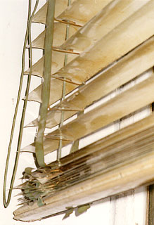 Venitian Blinds in Venice, Italy