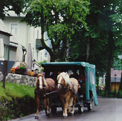 Horse drawn cart in Bavaria