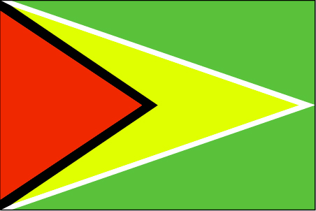 Guyana Flag