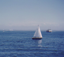 Sailboat in harbor