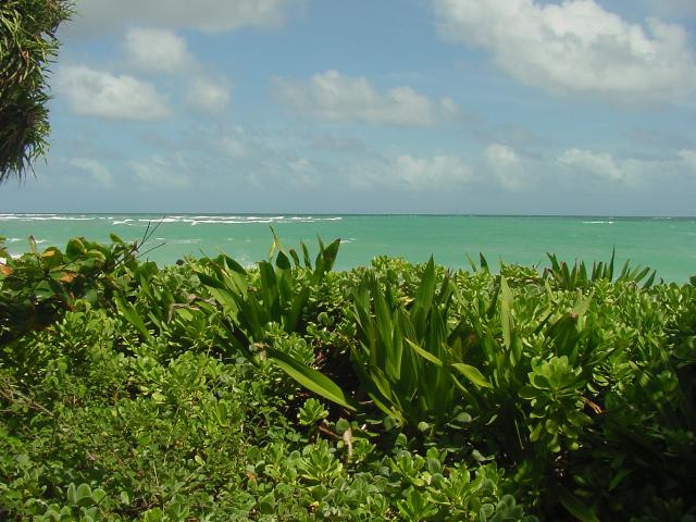 NorthShore of Oahu