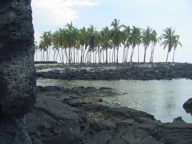 hawaii-oct2003(16).jpg