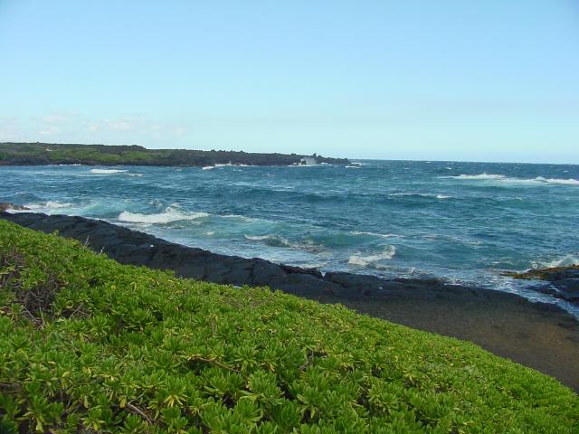 Hawaiian seacoast