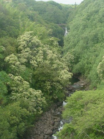 River and falls