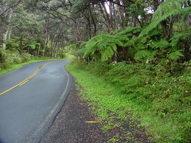 hawaii-oct2003(294).jpg