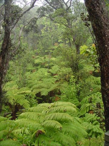 hawaii-oct2003(299).jpg