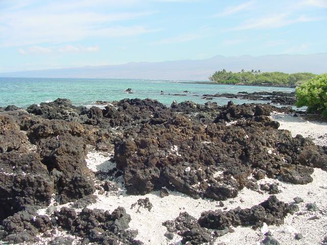 Coastal Lava