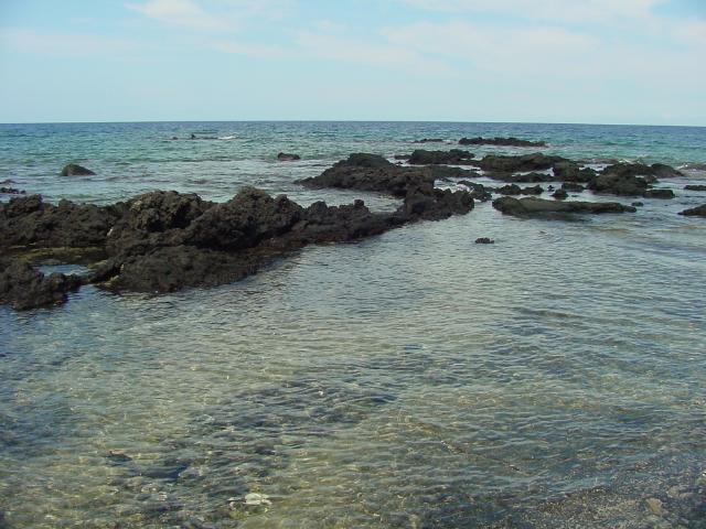 Coral and Lava in the Sea