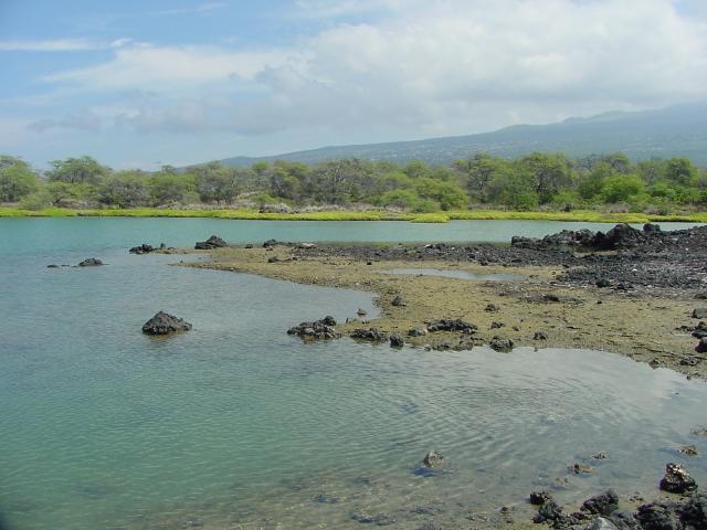 Coral and Lava in the Sea