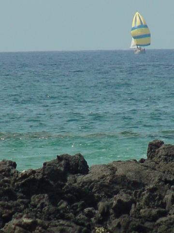 Coral and Lava in the Sea with Sailboat