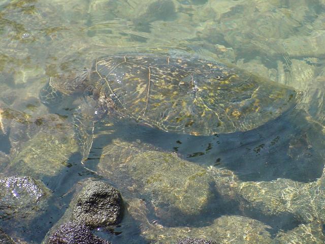 hawaii-oct2003(340).jpg