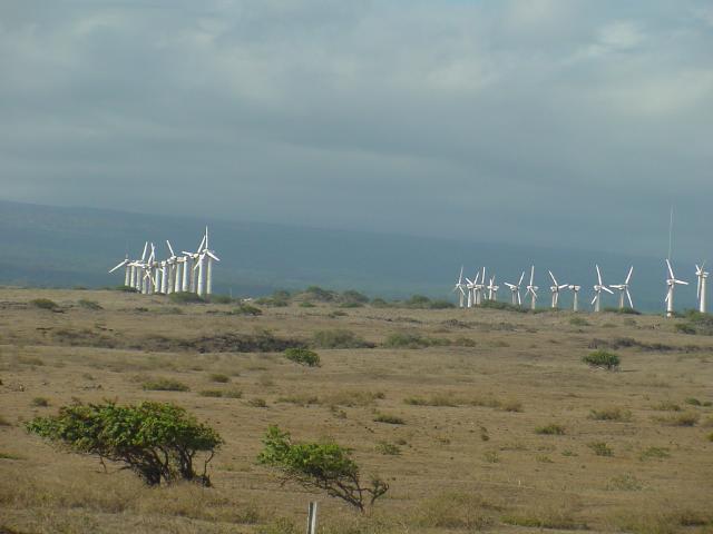 Wind Generators near South Point