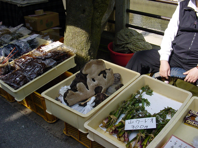 Miyagawa morning market - Check out that mushroom!