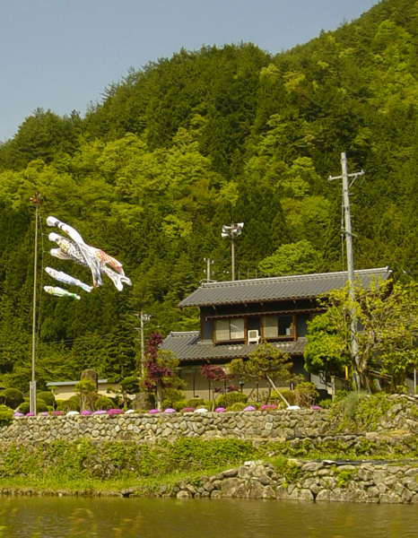 House flying fish flags for Children's Day