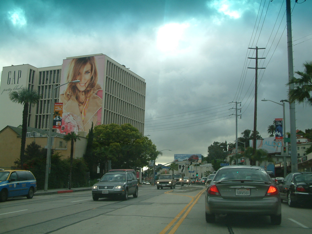 hollywood11.jpg