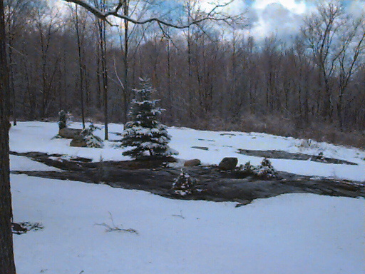 home006.jpg