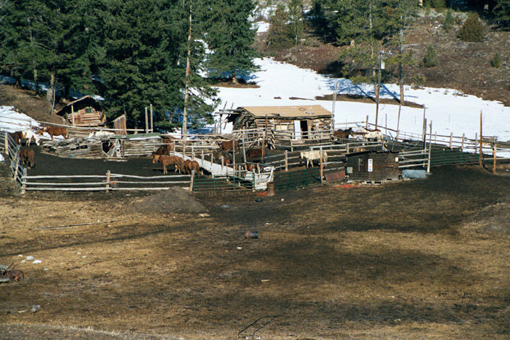 Horse corral